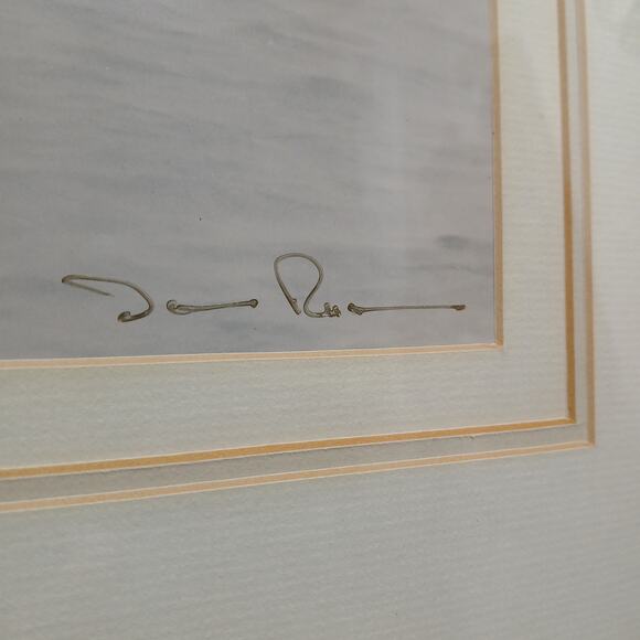 "Foggy Pelican Day" Signed James Richmond Photography Wall Art 24x20" Wood Frame - Picture 3 of 10